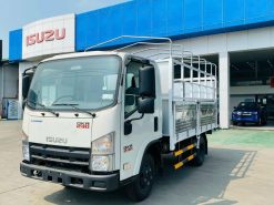 QKR-230-MUI-BẠT